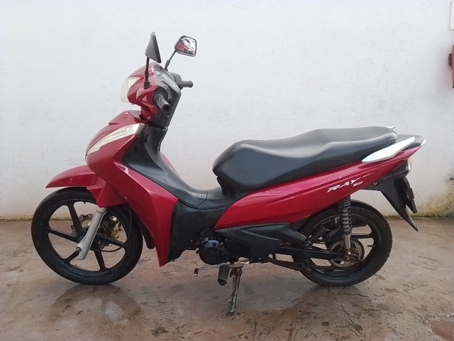 SHINERAY 50Q 2021 / 2022
